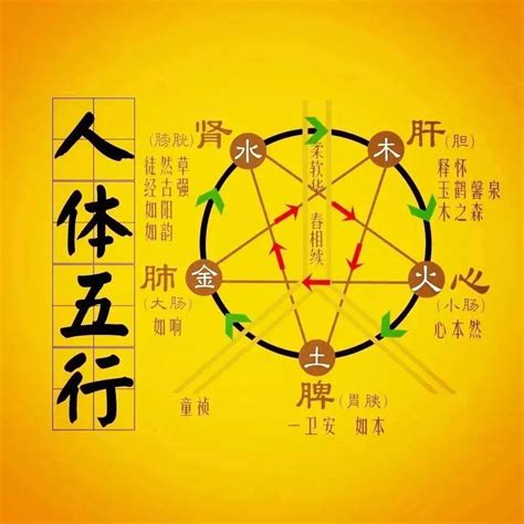 金克火|“五行相克”，分别是什么克什么？